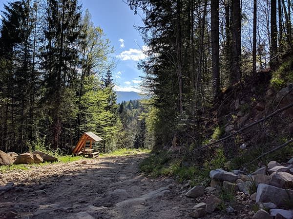 Дорога до Водоспаду Дівочі Сльози Яремче