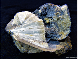 Барит на псиломелане в полости ракушки. 50*50*42мм