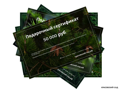 Подарочный сертификат на приобретение и посадку растений