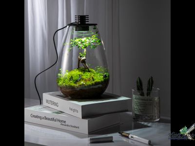 Биобутылка Biolark LED SD175 (175мм х 230мм)