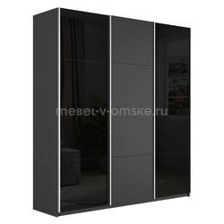 ЕН074 Шкаф-купе "Прайм-2" (ЧС/Д/ЧС). Размер: 1800х2300х570.