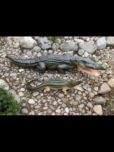 Крокодил 15*40см   1,2кг   полистоун Россия 1844/012457*