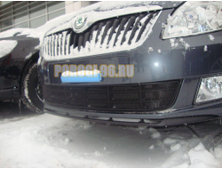 Защита радиатора Skoda Fabia 2 рестайлинг 2011-/Skoda Roomster 2011-2015 black