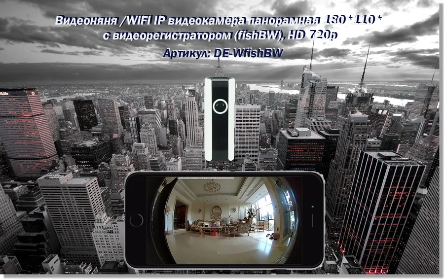 IP панорамная видеокамера