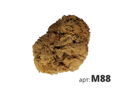 M88 натуральная губка морская