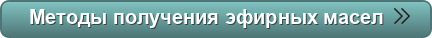 Что такое эфирные масла? Методы производства эфирных масел? Натуральные эфирные масла. Духи. Музей.