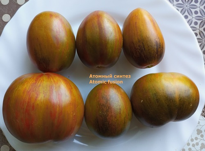 Томат Атомный синтез (Atomic fusion), США