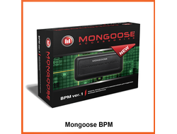 Mongoose BPMver.1