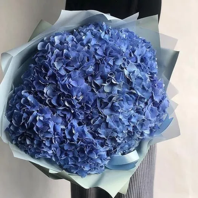 9 розовых гортензий