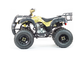 Купить Квадроцикл ATV 250 ADVENTURE