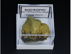 Босфорит в пластиковом боксе, Крым, Керчь №22124