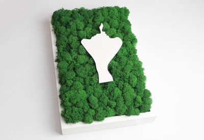 ЖИВАЯ ЭКО-КАРТИНА 1030