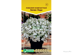 Лобелия БЕЛАЯ ЛЕДИ компактная (0,1 гр)