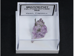 Миллерит на родохроме, в пластиковом боксе, Россия, Урал №20537