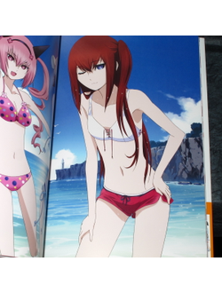 Оригинальный Арт Бук Steins;Gate Soushisouai no True Memories (Врата; Штейна)