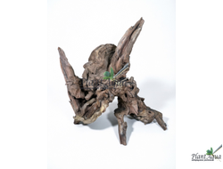 SwetAqua Chinese Sunken EXCLUSIVE 8034 (410x350x200 мм) - Натуральная коряга "Китайская затонувшая" EXCLUSIVE