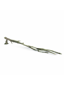 пни Бревна 006