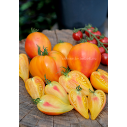 Томат Апельсиновое Манго, 10 шт