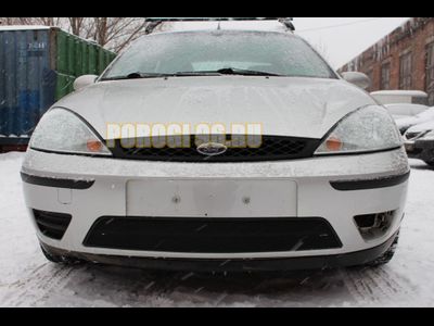 Защита радиатора Ford Focus I рестайлинг 2003-2005 black