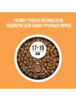 BOWL WOW (Боул Вау) корм сухой для собак крупных пород Индейка, Курица, Рис, Тыква, 2 кг