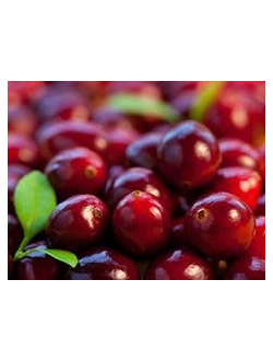 Cranberry ESSENCE / Клюква эссенция