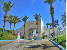 Movenpick Resort Sharm El Sheikh Naama Bay 5*