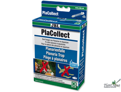 JBL PlaCollect - Ловушка для планарий и других плоских червей
