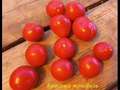 Томат Трюфель красный