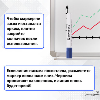 Маркеры для белой доски стираемые 5 мм BRAUBERG в наборе, 150417