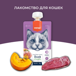Wanpy Cat (Ванпи кэт) Лакомство для кошек Мясной мусс из утки и тыквы, 90 г