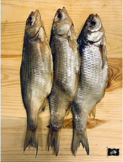 Вобла крупная (Аральская)