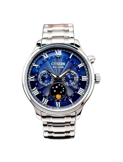 Наручные часы Citizen AP1050-81L