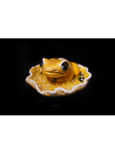 Мини-брошь "Притягивающая солнечный свет", украшение с лягушкой