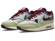 мужские кроссовки Nike Concepts x Air Max 1 SP 'Mellow' DN1803-300