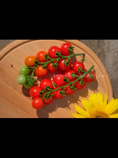 Томат Черри Кубелло, 10 шт