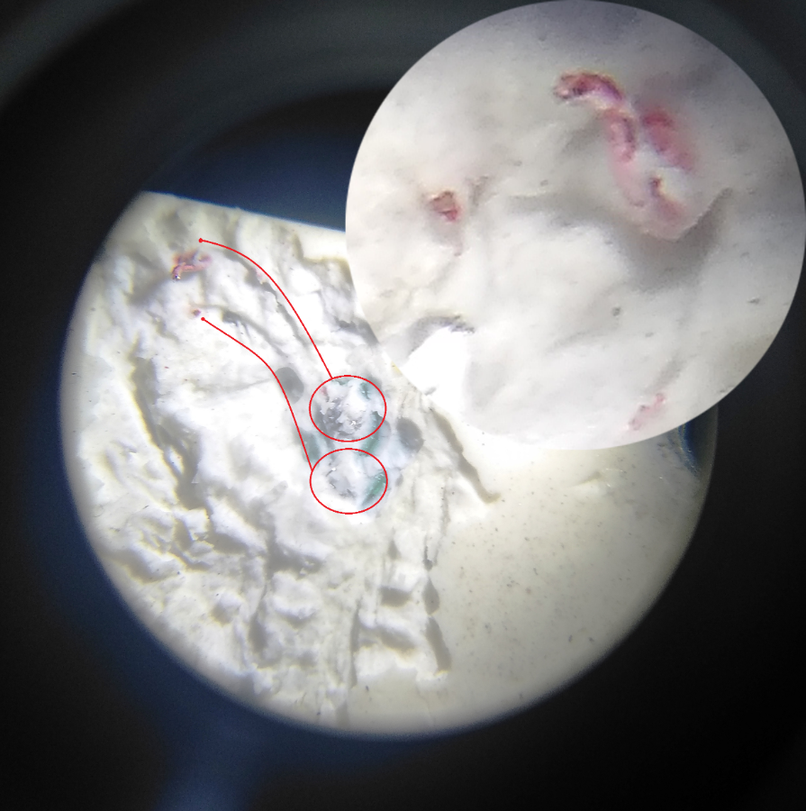 Гарант погрызанный тензодатчик