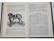 Сабанеев Л.П. Собаки охотничьи... Легавые. М.: Физкультура и спорт. 1986г.