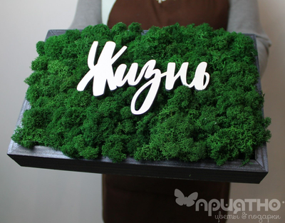 ЖИВАЯ ЭКО-КАРТИНА 1054