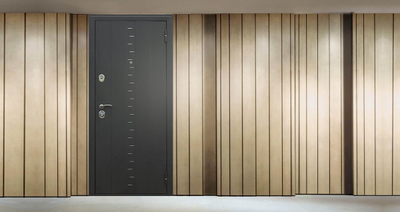 Стальная дверь   Агата 3. Заказная модель.