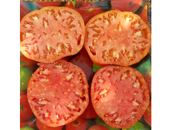 Томат Минусинские шары (усл)