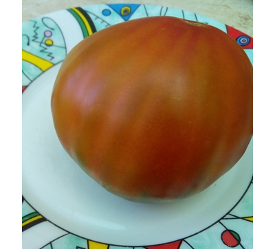 Томат Бунте Пфлауме (Красочная слива, Bunte Pflaume)