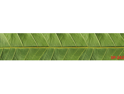 SP-242 Глянцевая стеновая панель ALBICO  2800*610*6мм.