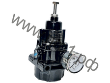 Фильтр регулятор T50 G1/4&quot;,  0-0,8 Бар, 5 мкм (-50C...70С)