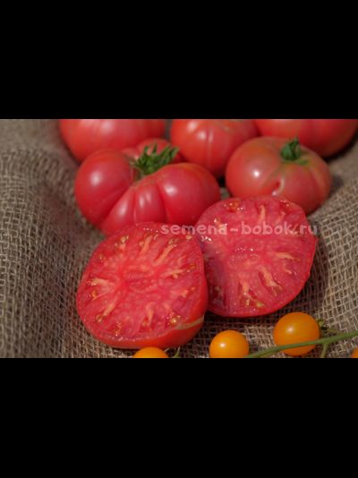 Томат Dwarf OPO (Гном ОПО), 10 шт