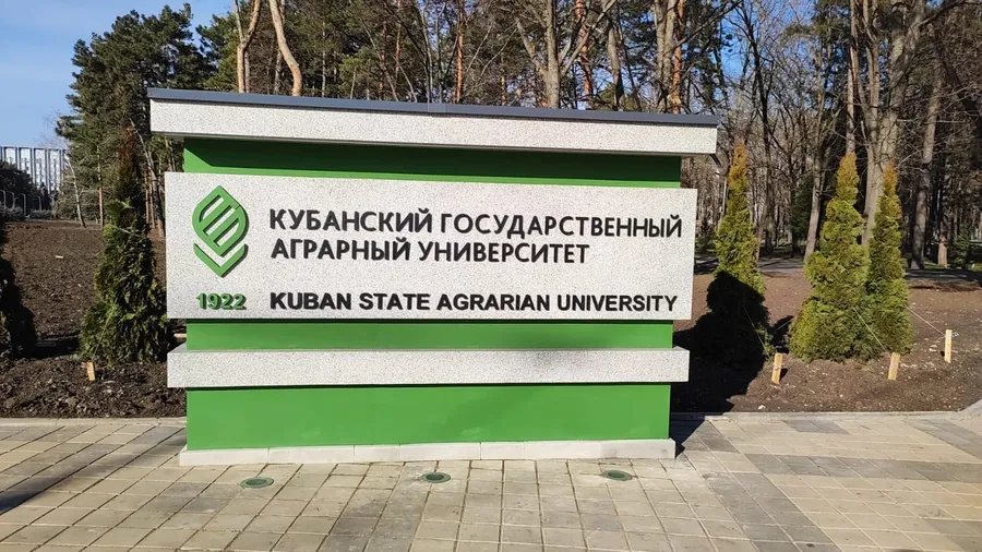 г. Краснодар. 2023 г.