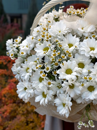 Корзина Любимой бабушке