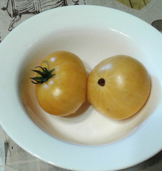 Семена томата Совершенная Гармония Гном