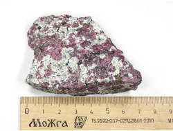 Эвдиалит в породе, Россия, Кольский п-ов, Хибины (80*60*23 мм, 103 г) №25687