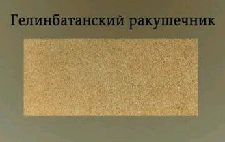 Гелинбатанский