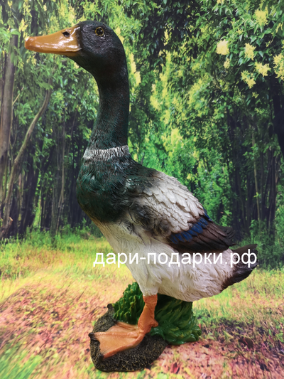 Селезень - красавец 40*28см полистоун Россия 1675/012564*